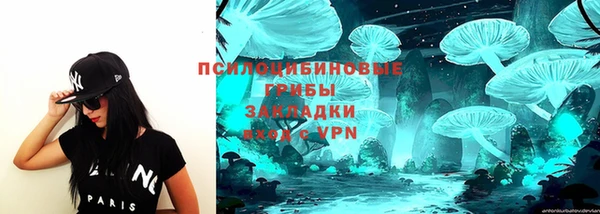 амф Алексин