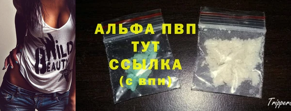 амф Алексин