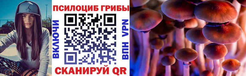 дарнет шоп Хвалынск omg как зайти Псилоцибиновые грибы GOLDEN TEACHER