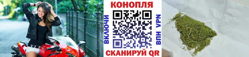 Бошки Шишки планчик  Хвалынск 